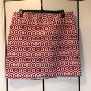 Ann Taylor skirt